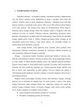 Vedybinis gyvenimas 2 puslapis