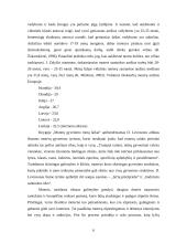 Vedybinis gyvenimas 4 puslapis