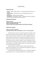 Vegetarizmo samprata 2 puslapis