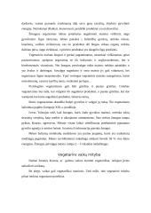 Vegetarizmo samprata 4 puslapis