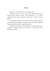 Vegetarizmo samprata 6 puslapis