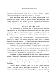 Vėjai ir krituliai. Bangavimas ir srovės 14 puslapis