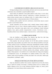 Vėjai ir krituliai. Bangavimas ir srovės 17 puslapis