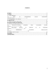 Vėjai ir krituliai. Bangavimas ir srovės 3 puslapis