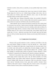 Vėjai ir krituliai. Bangavimas ir srovės 6 puslapis