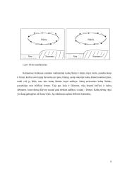 Vėjai ir krituliai. Bangavimas ir srovės 9 puslapis