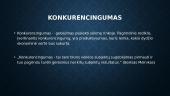 Konkurencijos tipai tarp UAB „Pigu“ ir kitų internetinės prekybos tinklų 4 puslapis