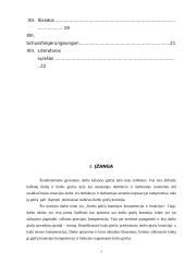 Darbo ginčų komisijos kompetencija 3 puslapis