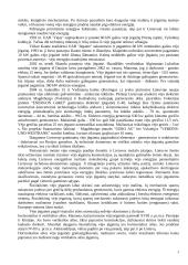 Vėjo energetika Lietuvoje 3 puslapis
