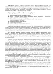 Vėjo energetika Lietuvoje 6 puslapis