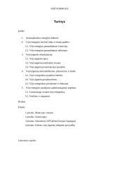 Vėjo energetika ir vėjo energija 2 puslapis