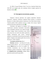 Vėjo energetika ir vėjo energija 15 puslapis