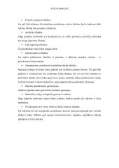 Vėjo energetika ir vėjo energija 17 puslapis