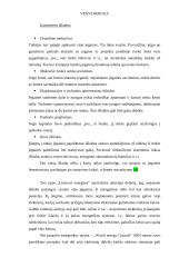 Vėjo energetika ir vėjo energija 18 puslapis