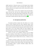 Vėjo energetika ir vėjo energija 19 puslapis