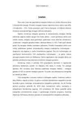 Vėjo energetika ir vėjo energija 3 puslapis