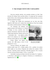 Vėjo energetika ir vėjo energija 7 puslapis