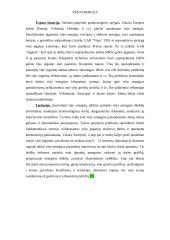 Vėjo energetika ir vėjo energija 8 puslapis