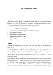 Vėjo jėgainės 12 puslapis