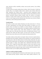 Vėjo jėgainės 13 puslapis