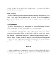 Vėjo jėgainės 15 puslapis