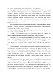 Vėjo jėgainės 4 puslapis