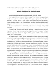 Vėjo jėgainės 8 puslapis