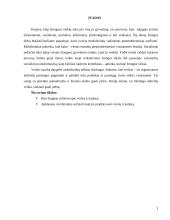 Verslas, karjera ir interviu 2 puslapis