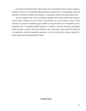 Verslas, karjera ir interviu 13 puslapis