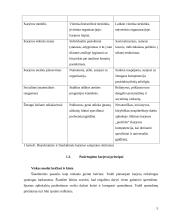 Verslas, karjera ir interviu 5 puslapis