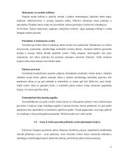 Verslas, karjera ir interviu 6 puslapis