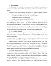 Verslas, karjera ir interviu 7 puslapis