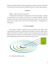 Verslas, karjera ir interviu 8 puslapis