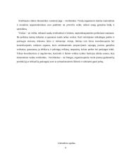 Verslininkystės raida Lietuvoje 6 puslapis