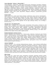 Autorių įžangos egzaminui 2 puslapis