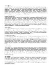 Autorių įžangos egzaminui 3 puslapis