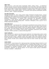 Autorių įžangos egzaminui 4 puslapis