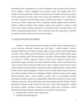 Verslo etika tarp vadovo ir jo pavaldinių 7 puslapis