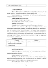 Verslo įmonių steigimas, valdymas, komercinės ūkinės veiklos ypatumai Vokietijoje 5 puslapis