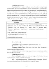 Verslo įmonių steigimas, valdymas, komercinės ūkinės veiklos ypatumai Vokietijoje 6 puslapis