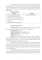 Verslo įmonių steigimas, valdymas, komercinės ūkinės veiklos ypatumai Vokietijoje 7 puslapis