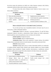 Verslo įmonių steigimas, valdymas, komercinės ūkinės veiklos ypatumai Vokietijoje 8 puslapis