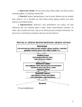 Verslo įmonių tipai 11 puslapis