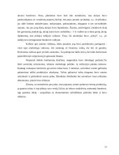 Verslo įmonių tipai 13 puslapis