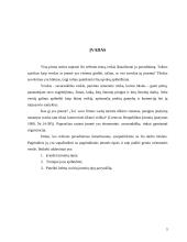 Verslo įmonių tipai 3 puslapis