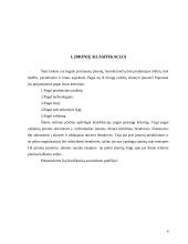 Verslo įmonių tipai 4 puslapis