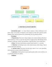 Verslo įmonių tipai 5 puslapis