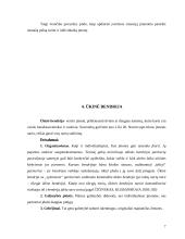 Verslo įmonių tipai 7 puslapis