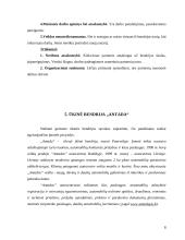 Verslo įmonių tipai 8 puslapis