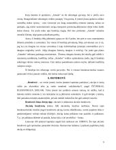 Verslo įmonių tipai 9 puslapis